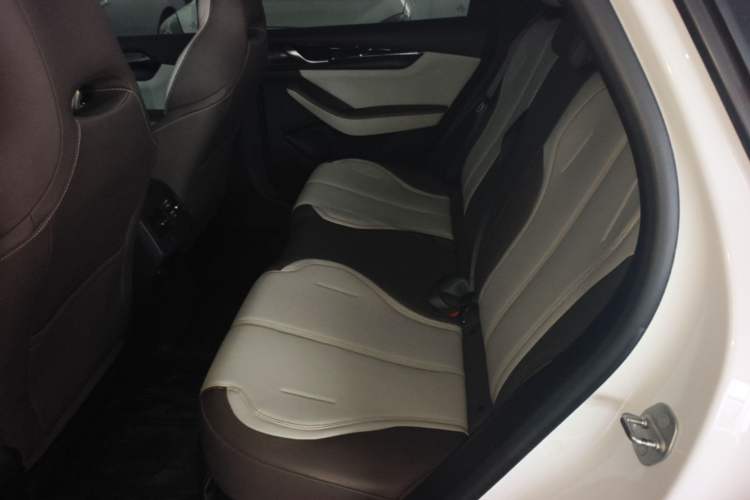 Used BYD Qin PLUS 2023 Champion Edition DM-i 55KM Leading Model Left Rear Seat