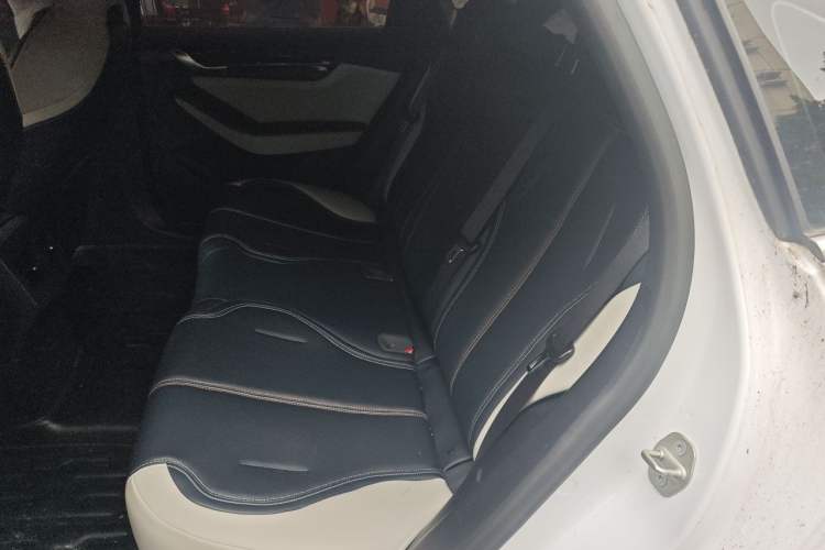 Used BYD Qin PLUS 2023 Champion Edition DM-i 55KM Leading Model Left Rear Seat