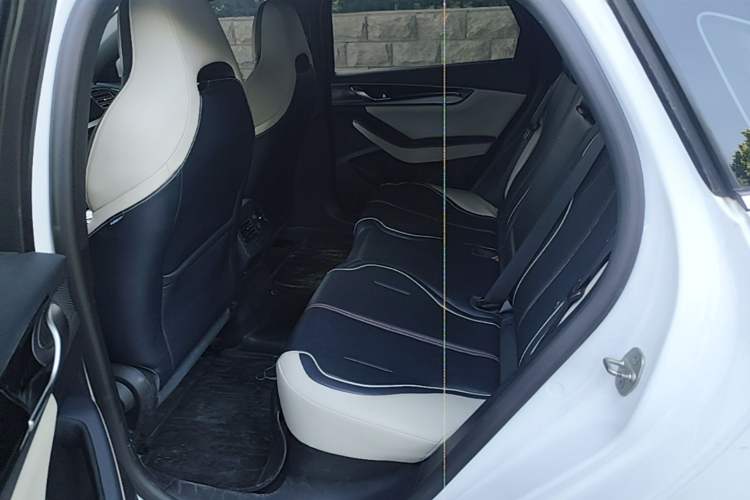 Used BYD Qin PLUS 2023 Champion Edition DM-i 120KM Leading Model Left Rear Seat