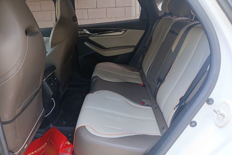 Used BYD Qin PLUS 2023 Champion Edition EV 510KM Leading Model Left Rear Seat
