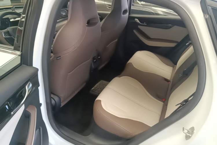 Used BYD Qin PLUS 2023 Champion Edition DM-i 55KM Leading Model Left Rear Seat