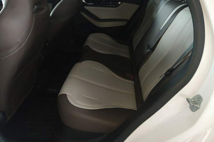 Used BYD Qin PLUS 2023 Champion Edition DM-i 55KM Leading Model Left Rear Seat