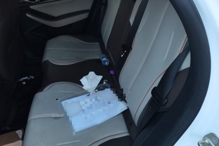 Used BYD Qin PLUS 2023 Champion Edition DM-i 120KM Leading Model Left Rear Seat