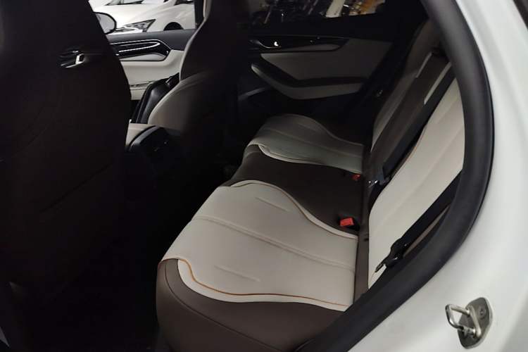 Used BYD Qin PLUS 2023 Champion Edition EV 510KM Leading Model Left Rear Seat