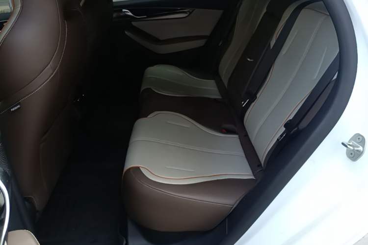 Used BYD Qin PLUS 2023 Champion Edition EV 510KM Leading Model Left Rear Seat