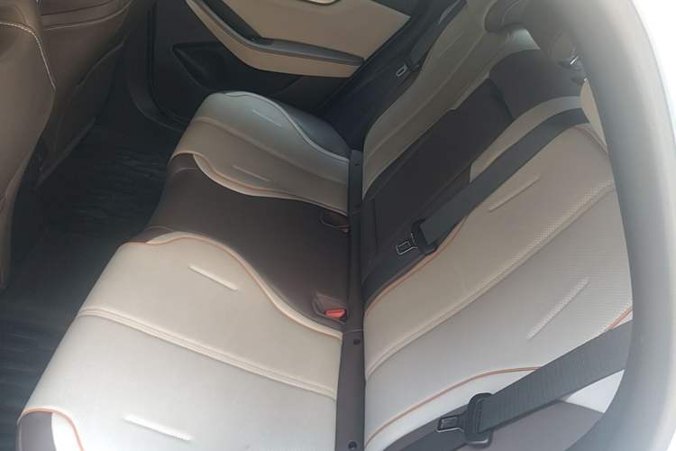 Used BYD Qin PLUS 2023 Champion Edition DM-i 120KM Leading Model Left Rear Seat