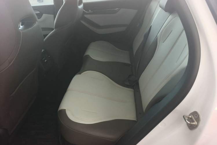 Used BYD Qin PLUS 2023 Champion Edition DM-i 55KM Leading Model Left Rear Seat