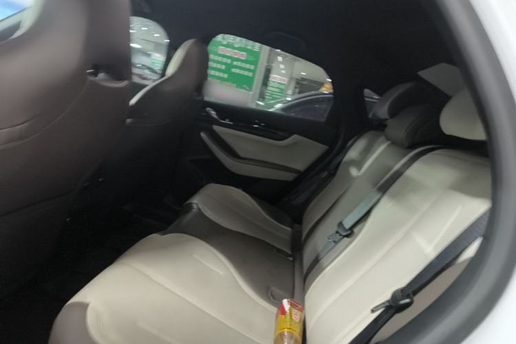 Used BYD Qin PLUS 2023 Champion Edition DM-i 55KM Leading Model Left Rear Seat