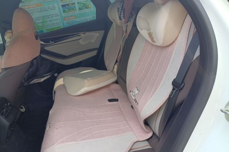 Used BYD Qin PLUS 2023 Champion Edition DM-i 55KM Superior Model Left Rear Seat