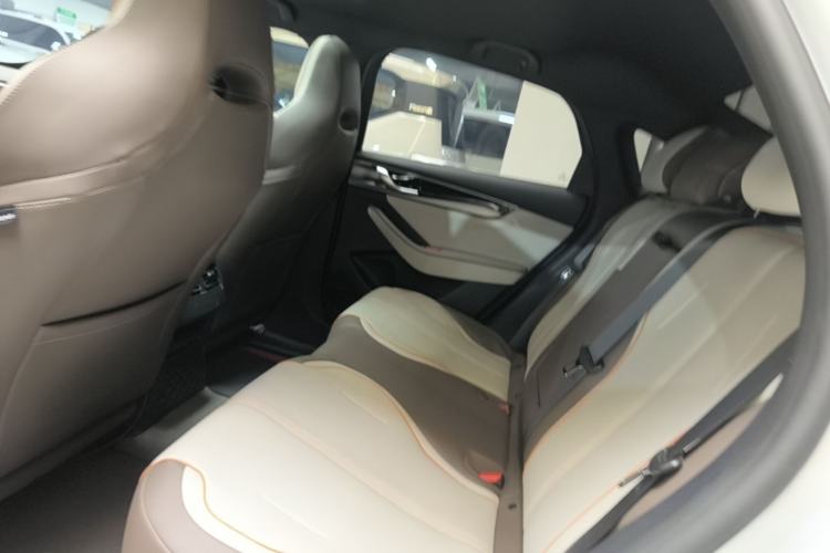 Used BYD Qin PLUS 2023 Champion Edition DM-i 120KM Leading Model Left Rear Seat