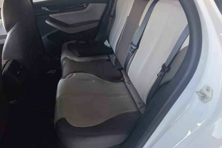 Used BYD Qin PLUS 2023 Champion Edition DM-i 55KM Leading Model Left Rear Seat