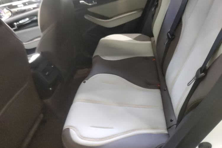 Used BYD Qin PLUS 2023 Champion Edition DM-i 55KM Leading Model Left Rear Seat