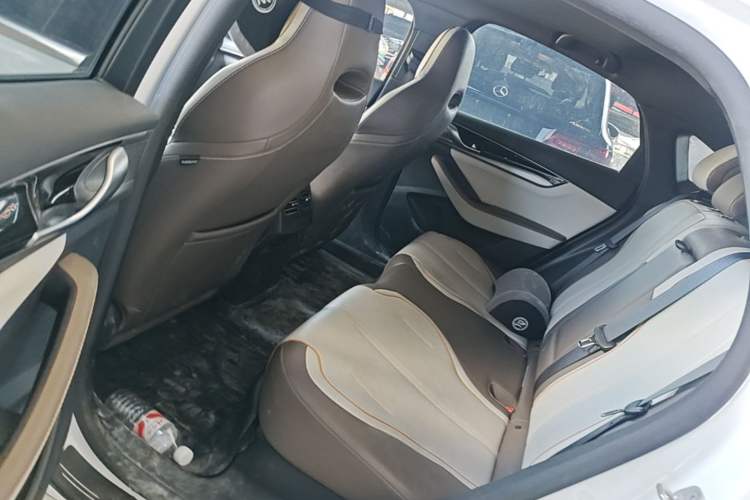 Used BYD Qin PLUS 2023 Champion Edition DM-i 120KM Leading Model Left Rear Seat