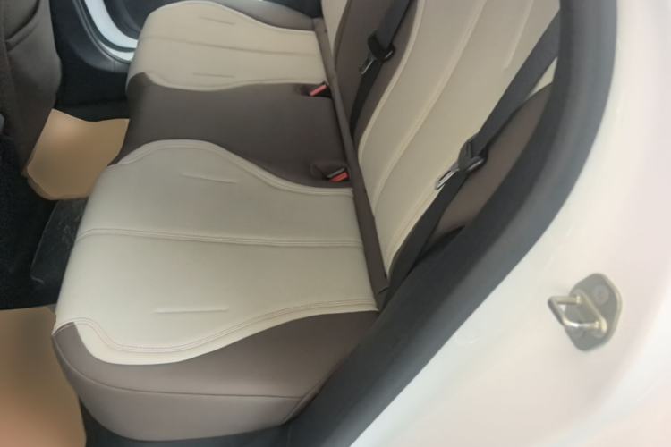 Used BYD Qin PLUS 2023 Champion Edition DM-i 55KM Leading Model Left Rear Seat