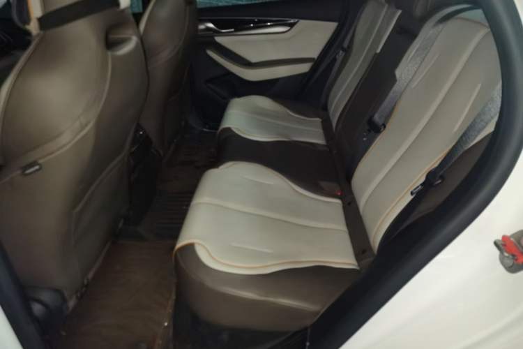 Used BYD Qin PLUS 2023 Champion Edition DM-i 120KM Leading Model Left Rear Seat