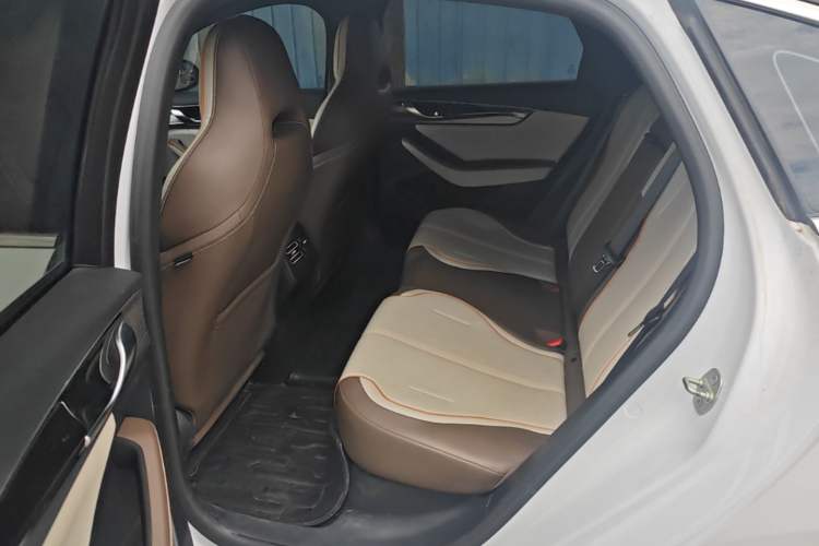 Used BYD Qin PLUS 2023 Champion Edition DM-i 120KM Leading Model Left Rear Seat