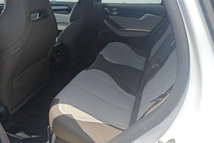 Used BYD Qin PLUS 2023 Champion Edition DM-i 55KM Leading Model Left Rear Seat