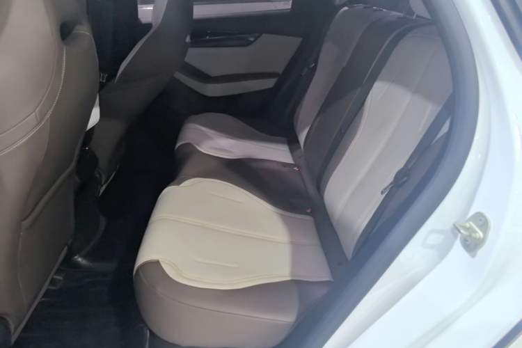 Used BYD Qin PLUS 2023 Champion Edition DM-i 55KM Leading Model Left Rear Seat