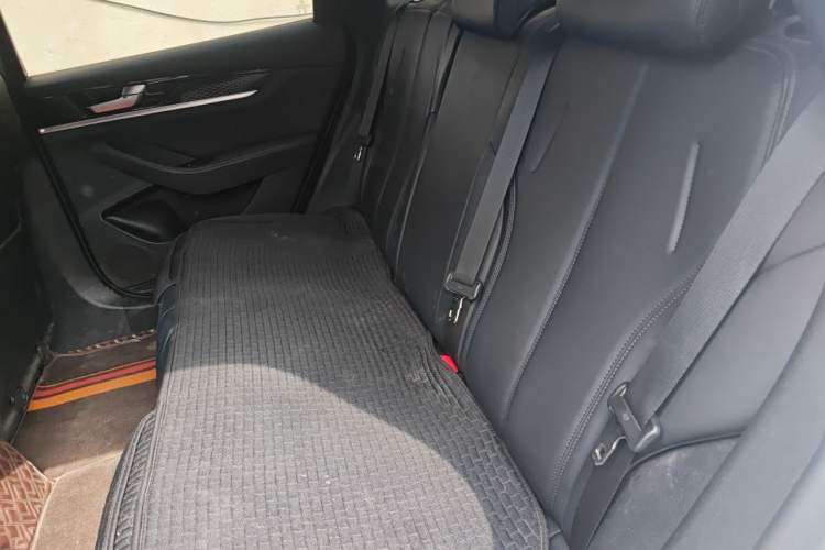Used BYD Qin PLUS 2023 EV 510KM Travel Edition Left Rear Seat