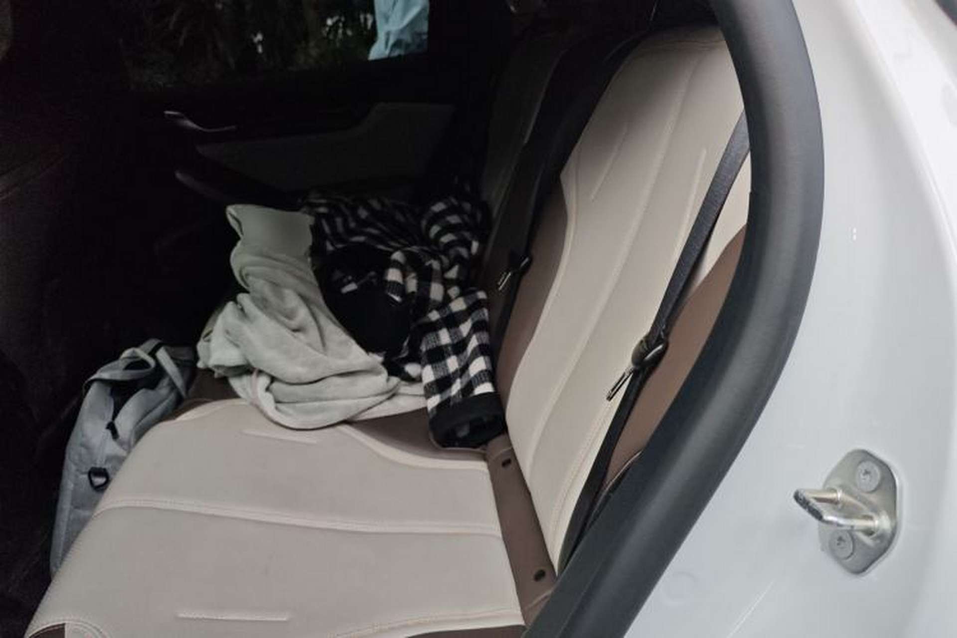 Used BYD Qin PLUS 2023 Champion Edition DM-i 55KM Leading Model Left Rear Seat