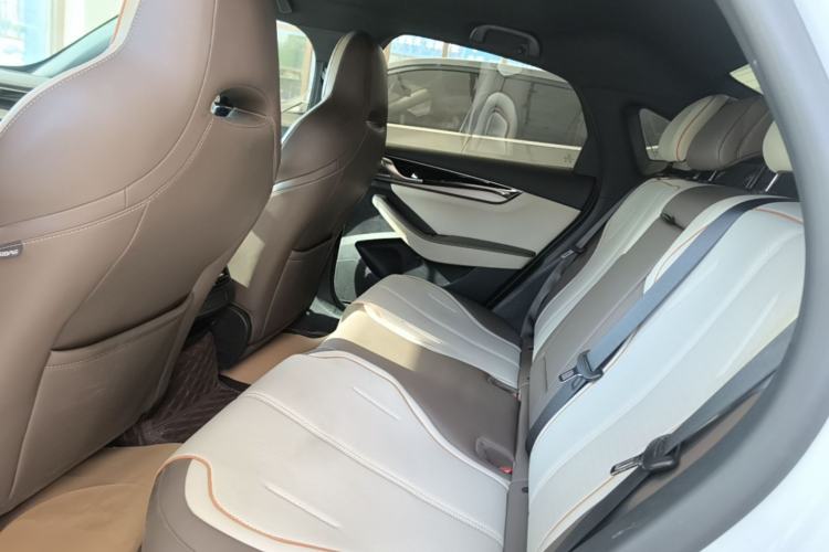Used BYD Qin PLUS 2023 Champion Edition DM-i 120KM Leading Model Left Rear Seat