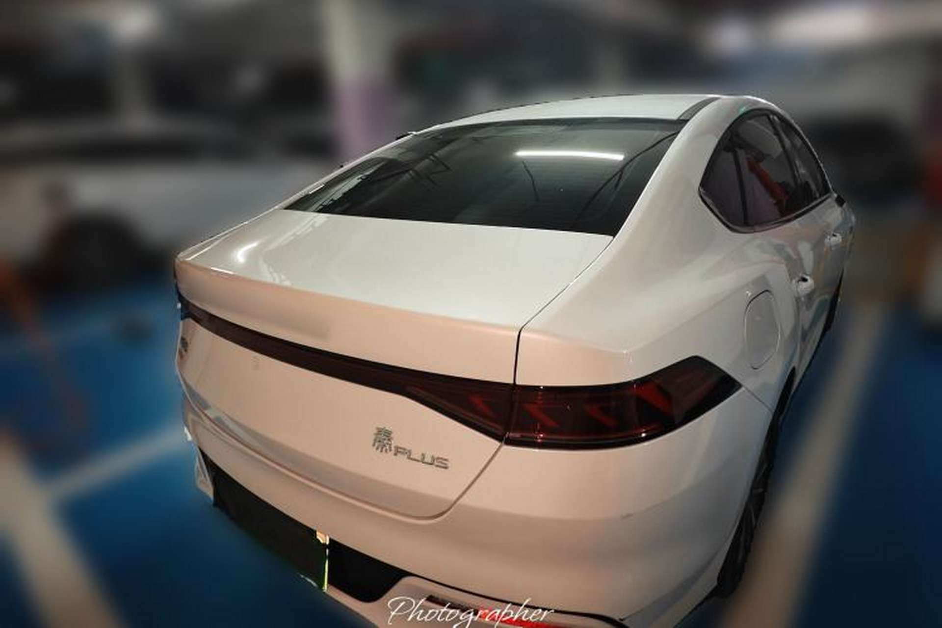 Used BYD Qin PLUS 2023 Champion Edition DM-i 55KM Leading Model Rear