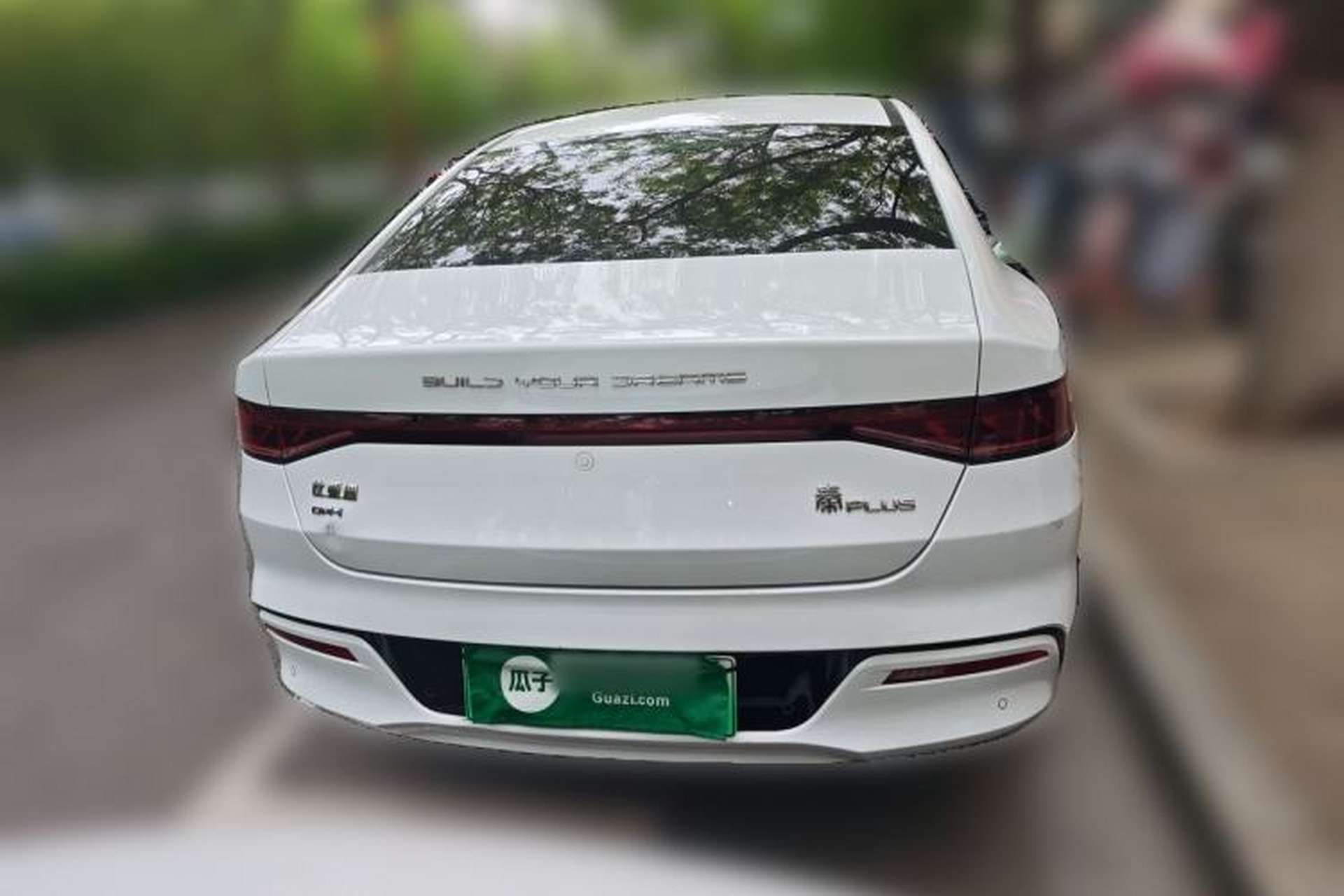 Used BYD Qin PLUS 2023 Champion Edition DM-i 55KM Leading Model Rear