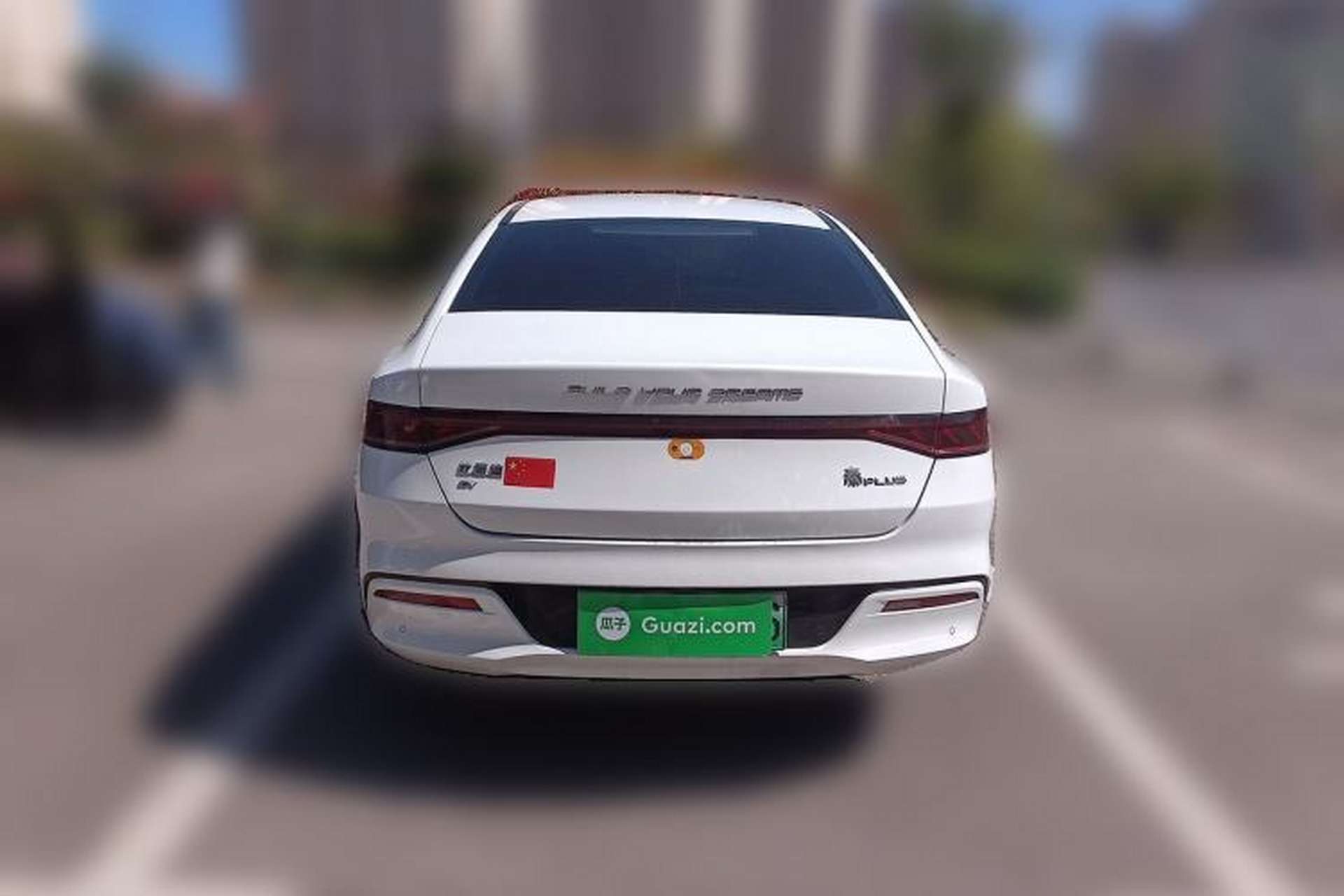 Used BYD Qin PLUS 2023 Champion Edition EV 510KM Beyond Model Rear