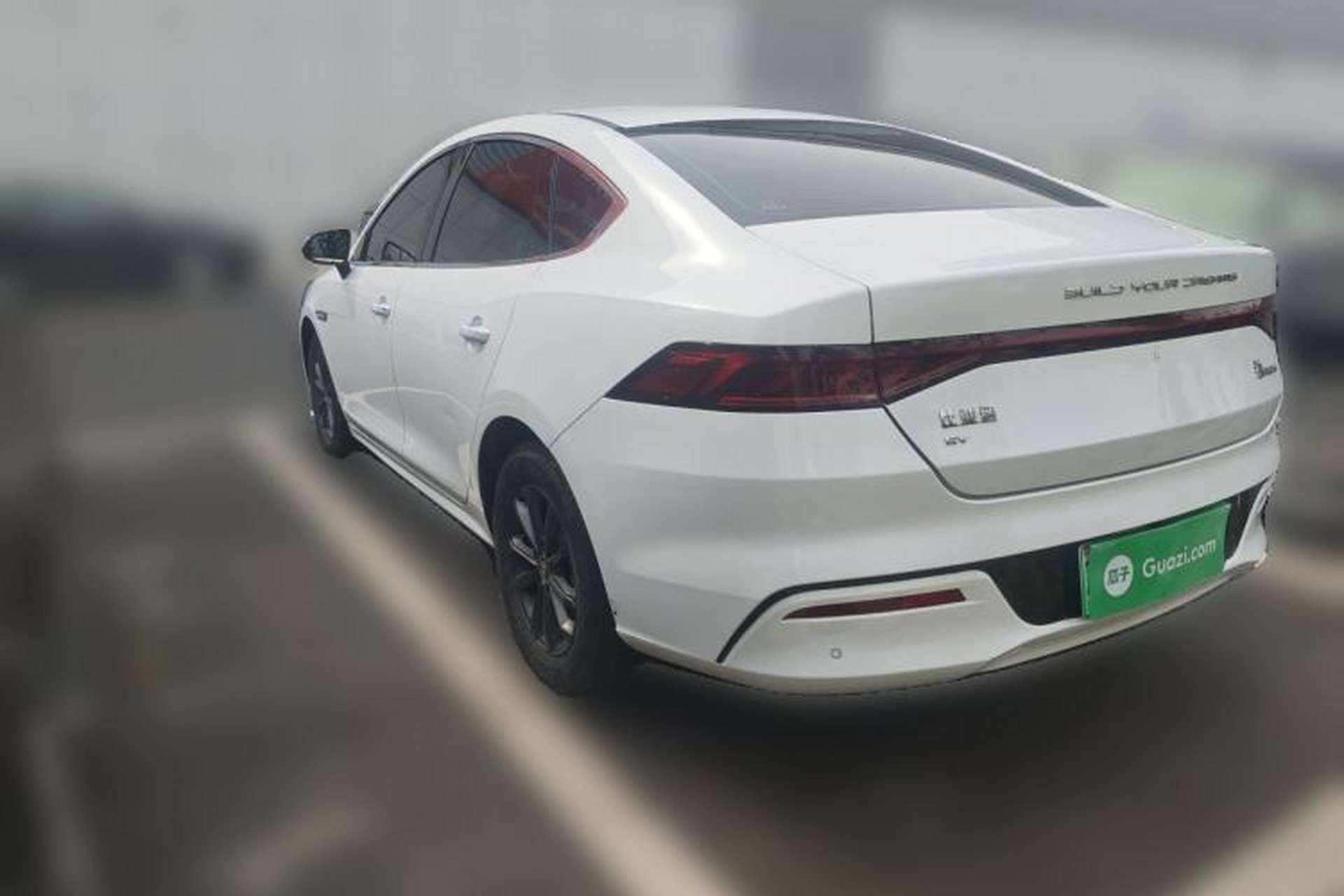 Used BYD Qin PLUS 2023 EV 510KM Travel Edition Rear Left 45 Deg
