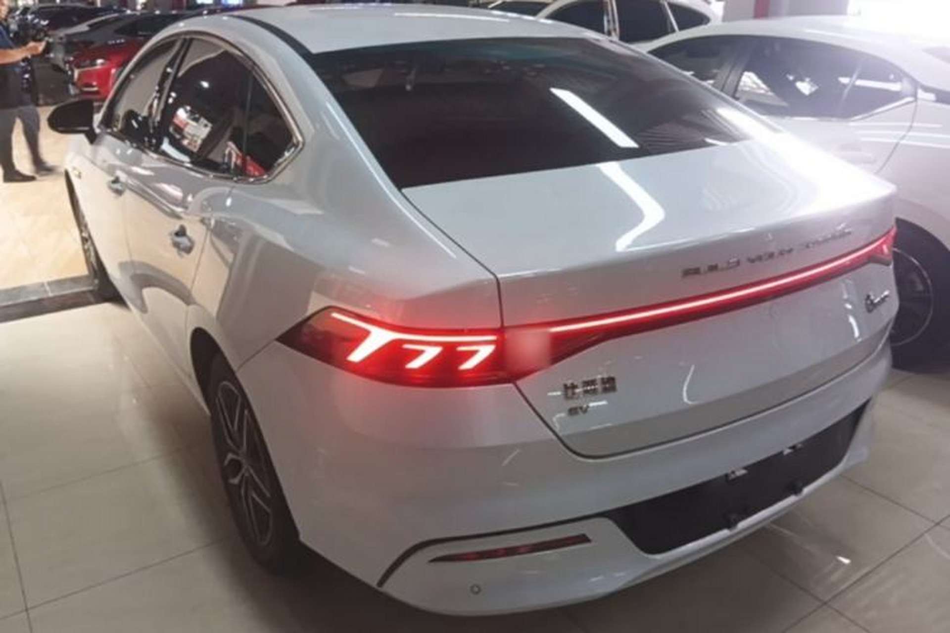 Used BYD Qin PLUS 2023 EV 510KM Travel Edition Rear Left 45 Deg