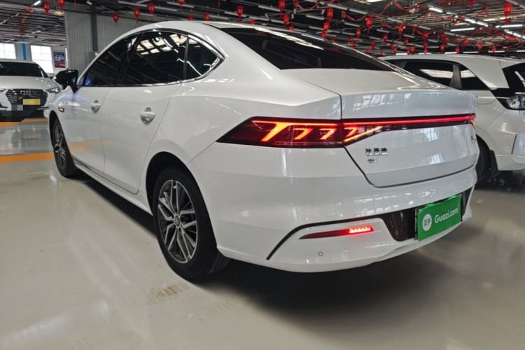 Used BYD Qin PLUS 2023 Champion Edition EV 510KM Beyond Model Rear Left 45 Deg
