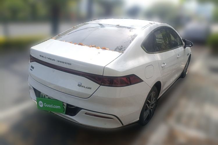 Used BYD Qin PLUS 2023 Champion Edition DM-i 120KM Beyond Model Rear Right 45 Deg