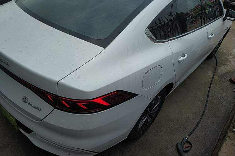 Used BYD Qin PLUS 2023 Champion Edition DM-i 55KM Leading Model Rear Right 45 Deg