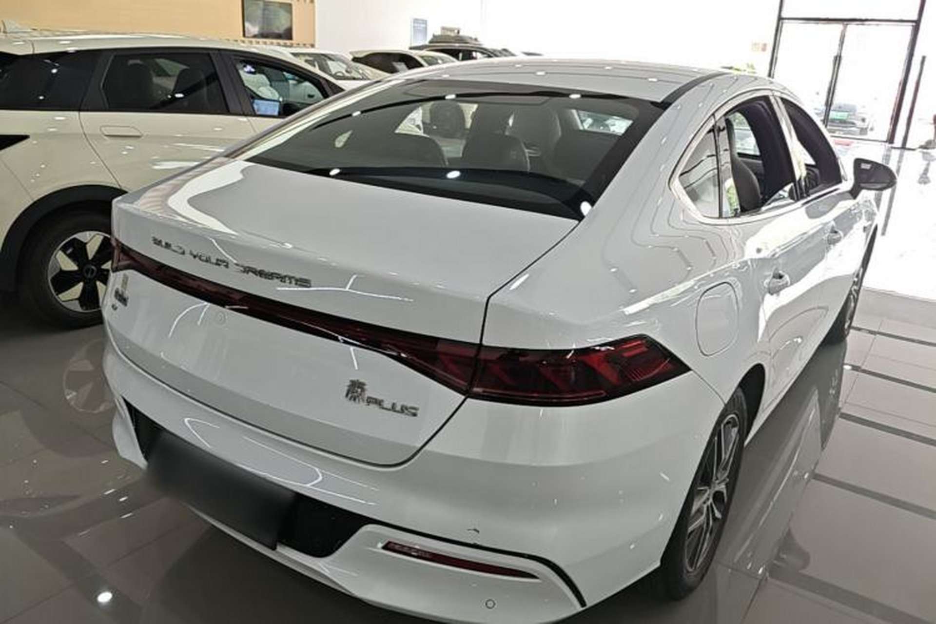 Used BYD Qin PLUS 2023 EV 510KM Travel Edition Rear Right 45 Deg