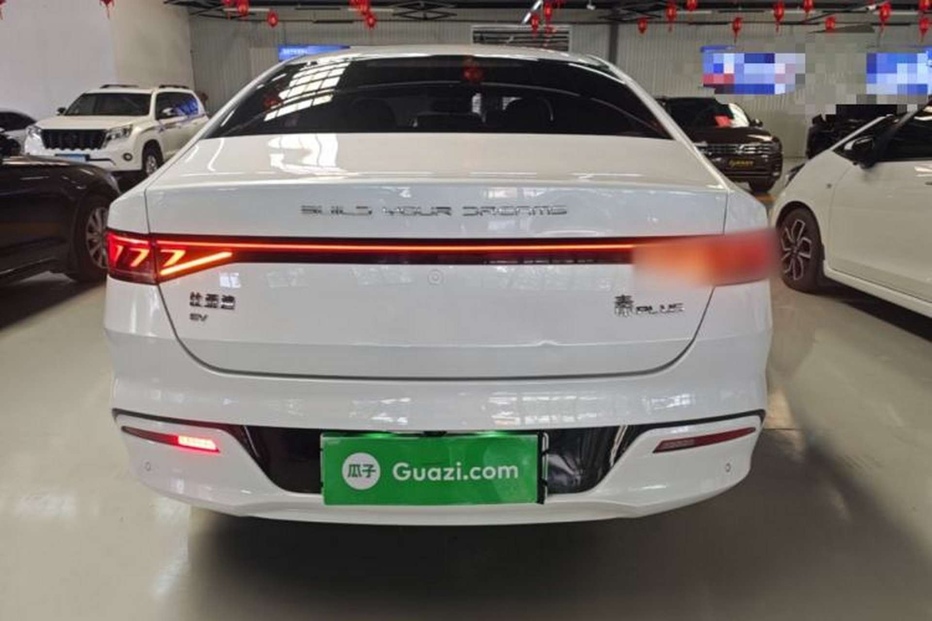 Used BYD Qin PLUS 2023 Champion Edition EV 510KM Beyond Model Rear