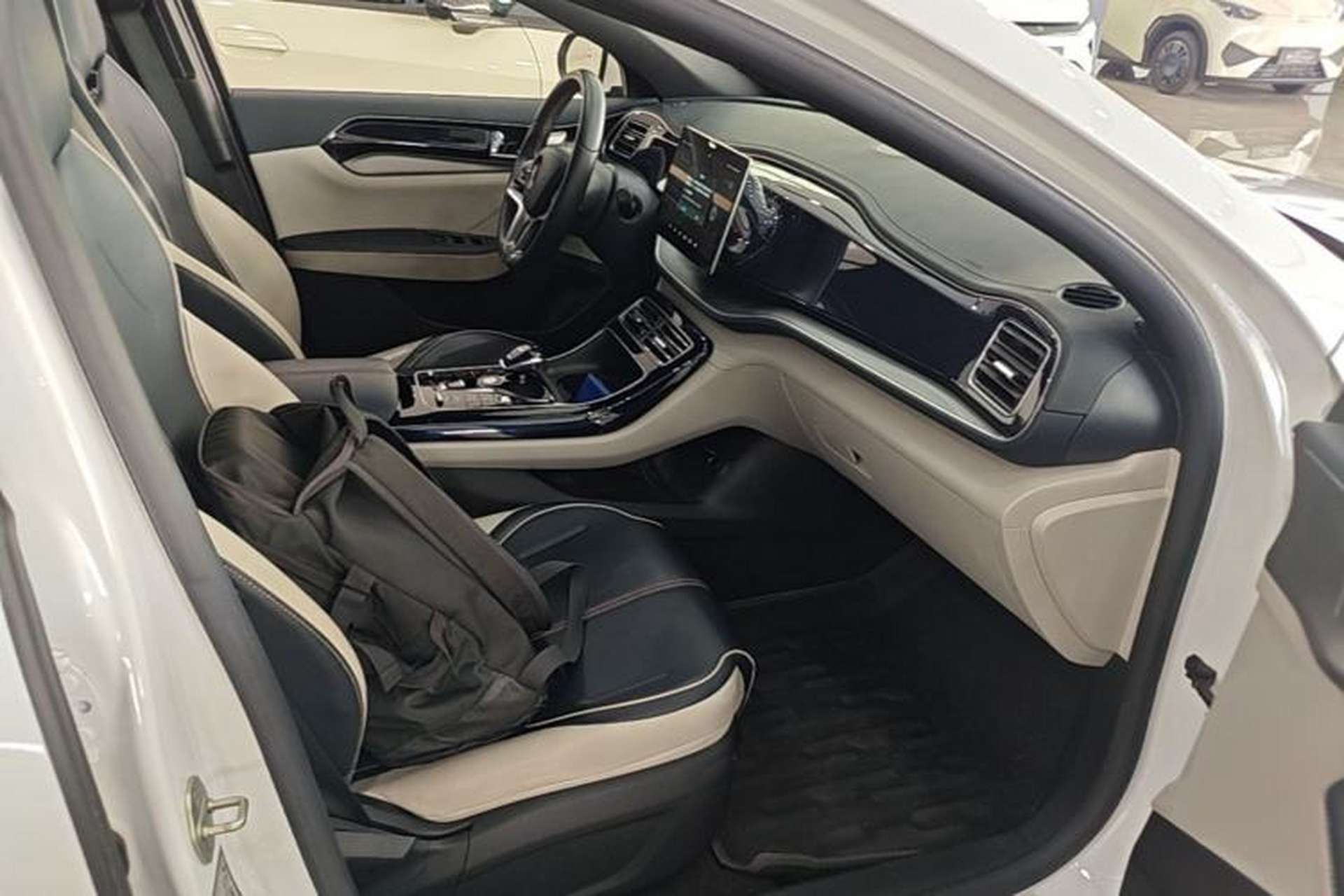 Used BYD Qin PLUS 2023 EV 510KM Travel Edition Right Front Seat