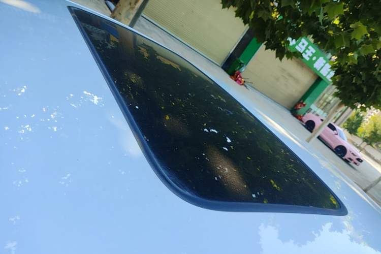 Used BYD Qin PLUS 2023 Champion Edition DM-i 120KM Leading Model Roof