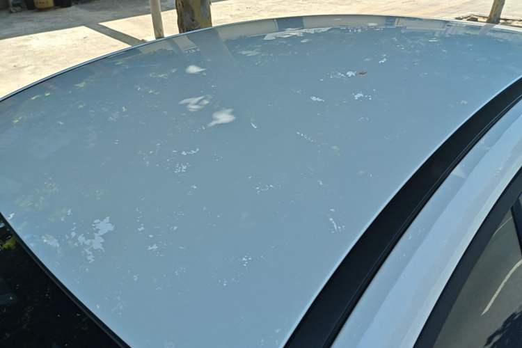 Used BYD Qin PLUS 2023 Champion Edition DM-i 55KM Leading Model Roof