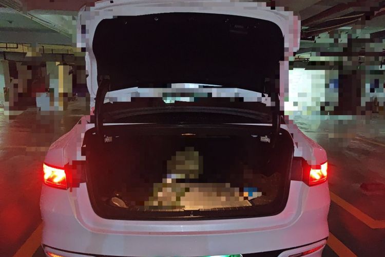 Used BYD Qin PLUS 2023 Champion Edition EV 420KM Superior Model Trunk