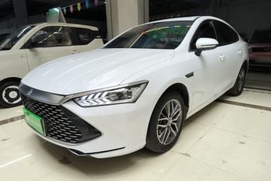 Used BYD Qin PLUS 2023 Champion Edition DM-i 120KM Leading Model