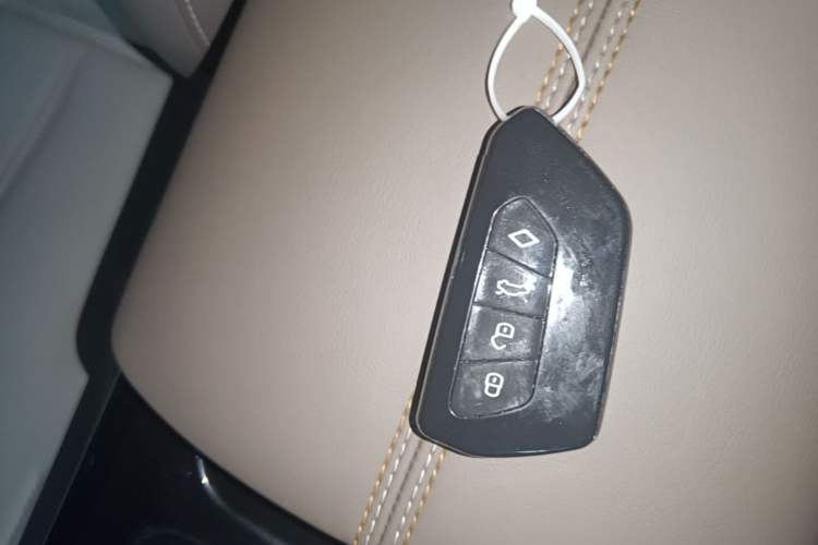 Used BYD Qin PLUS 2023 Champion Edition DM-i 55KM Leading Model Vehicle Key