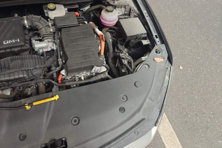 Used BYD Qin PLUS 2024 HONOR Edition DM-i 55KM Leading Model Engine Bay Left