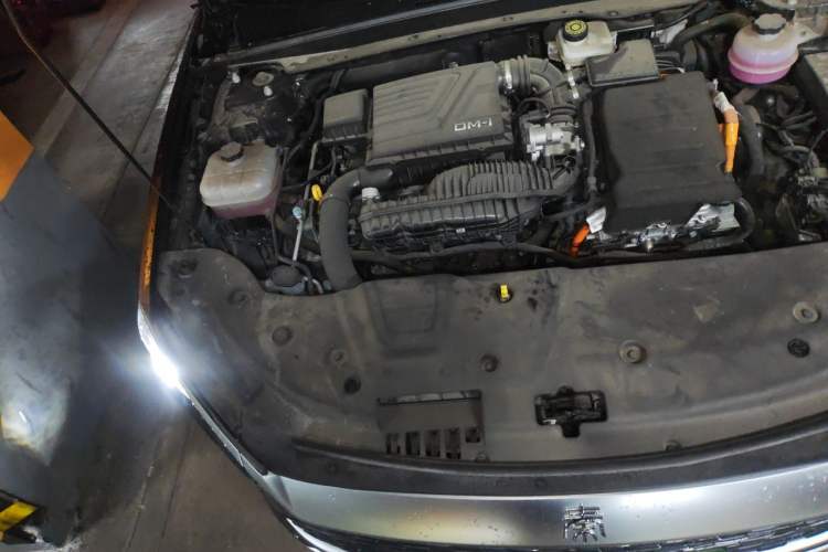 Used BYD Qin PLUS 2024 HONOR Edition DM-i 55KM Leading Model Engine Bay Right