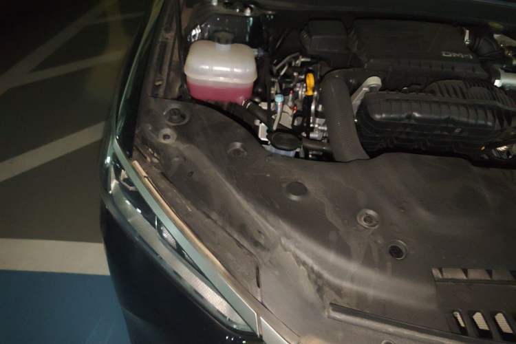Used BYD Qin PLUS 2024 HONOR Edition DM-i 55KM Leading Model Engine Bay Right