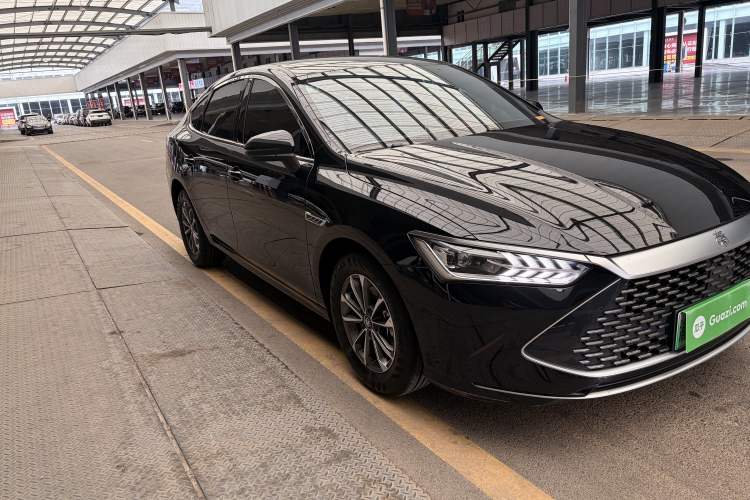 Used BYD Qin PLUS 2024 HONOR Edition DM-i 55KM Leading Model Exterior 4