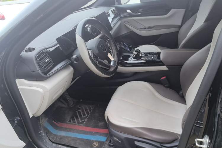 Used BYD Qin PLUS 2024 HONOR Edition DM-i 55KM Leading Model Left Front Seat