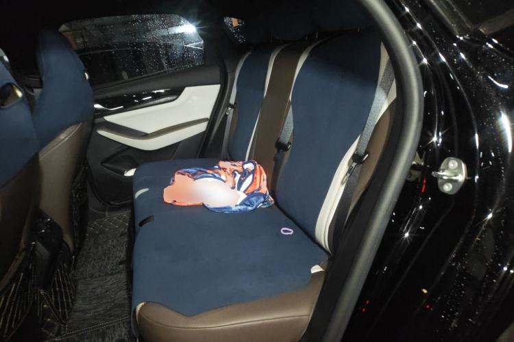 Used BYD Qin PLUS 2024 HONOR Edition DM-i 55KM Leading Model Left Rear Seat