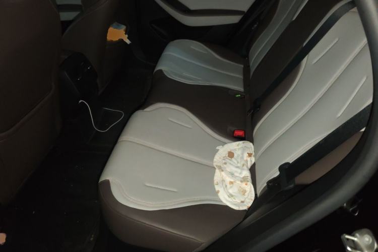 Used BYD Qin PLUS 2024 HONOR Edition DM-i 55KM Leading Model Left Rear Seat