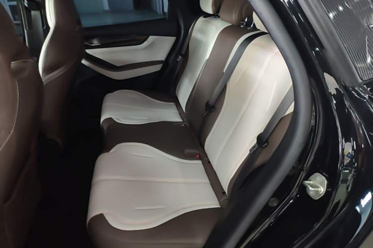 Used BYD Qin PLUS 2024 HONOR Edition DM-i 55KM Leading Model Left Rear Seat