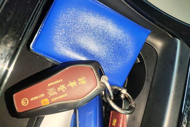 Used BYD Qin PLUS 2024 HONOR Edition DM-i 55KM Leading Model Vehicle Key